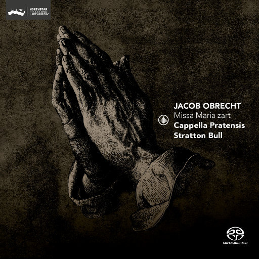 光屁股动漫美女
